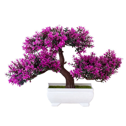 Bonsai Plants